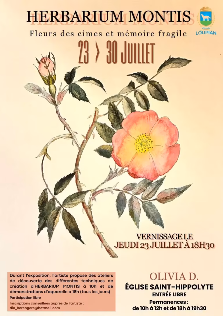 Exposition Herbarium Montis - Olivia D.