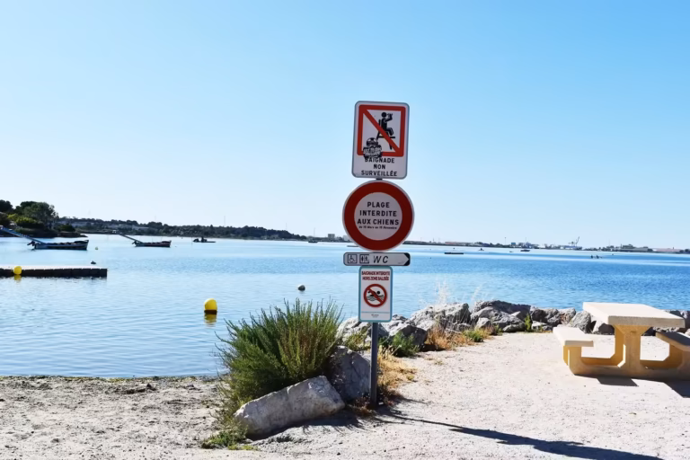 Panneaux de signalisation sur une plage de Balaruc-les-Bains, dont l'interdiction aux chiens
