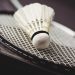Badminton à Sète