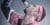 Concert-Gratuit-Demi-Portion-2020-G.jpg
