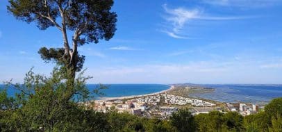 Forêt des Pierres Blanches - Forêt domaniale à Sète