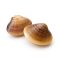 Ici7-Ingredient-Palourdes