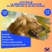 Agde Canifest 2026 – Régionale d'Élevage du Retriever Club de France