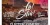 Ici7 Archipel Thau Festival Rock 2 La Setois 116928 01 1776873725 1cf3b17f