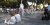 Tournoi de joutes sur chariots à Balaruc